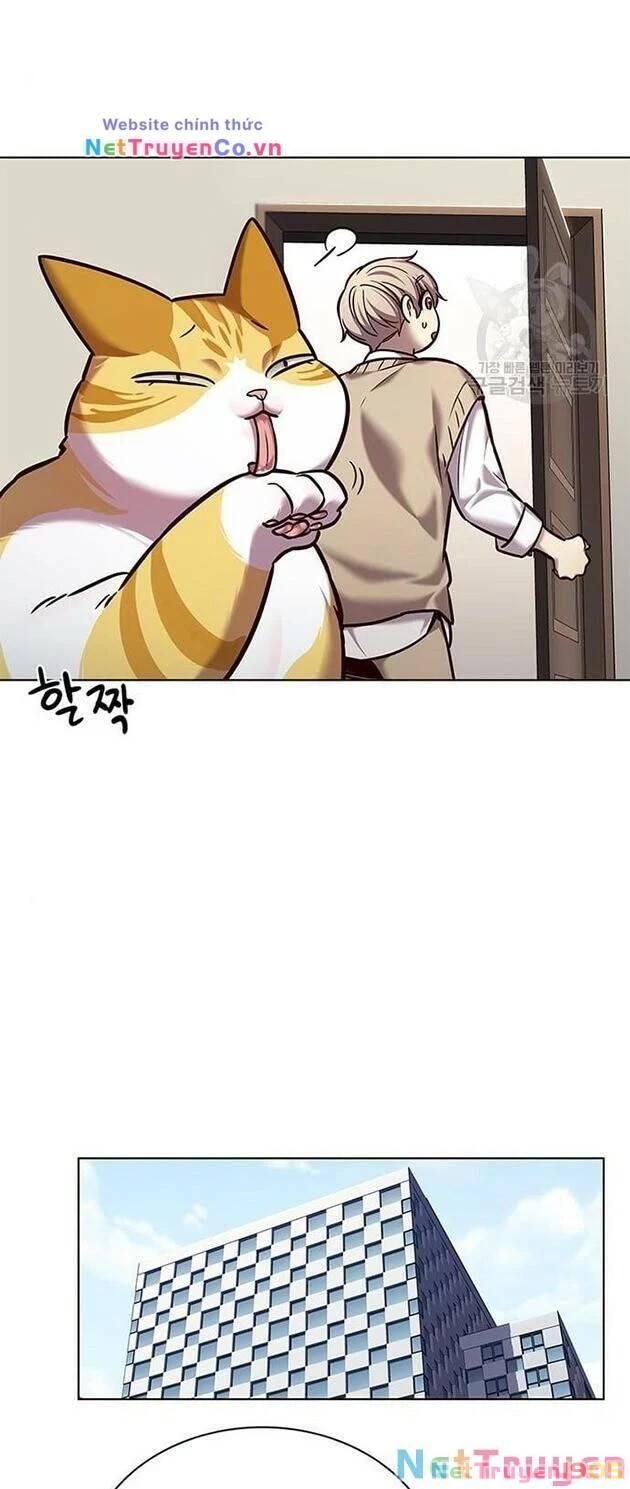 Cô Dâu Của Sói Trắng Chapter 228 - 24