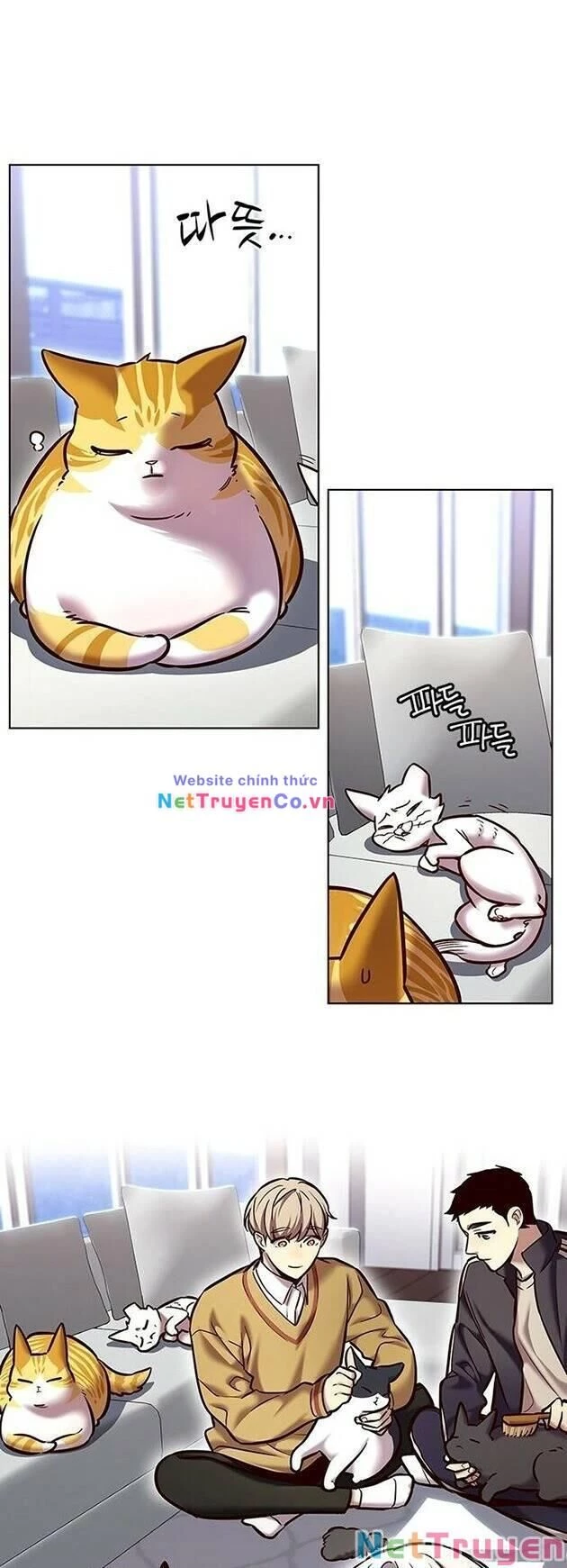 Cô Dâu Của Sói Trắng Chapter 229 - 20