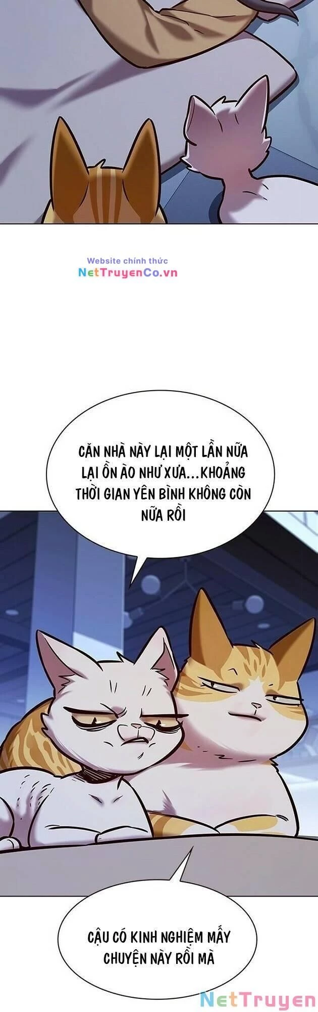 Cô Dâu Của Sói Trắng Chapter 229 - 46