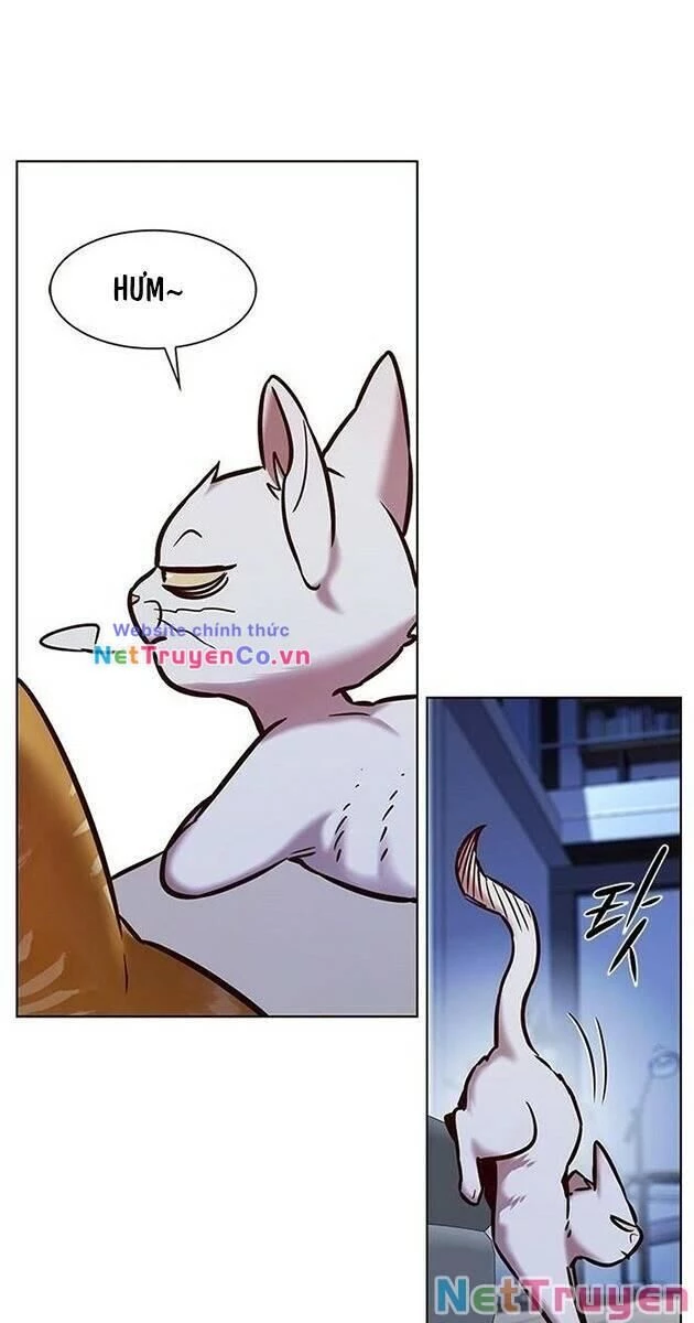 Cô Dâu Của Sói Trắng Chapter 229 - 47