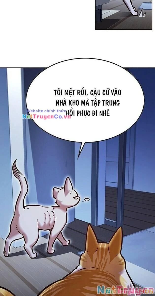 Cô Dâu Của Sói Trắng Chapter 229 - 48