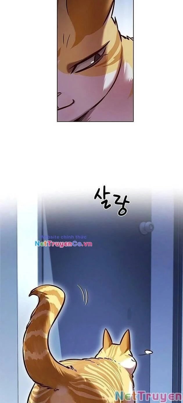 Cô Dâu Của Sói Trắng Chapter 229 - 51