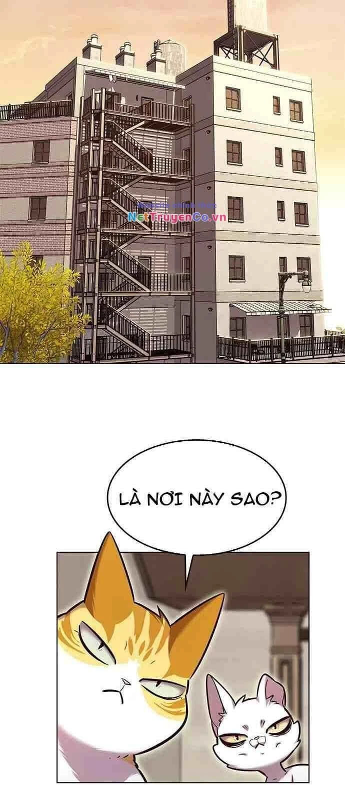 Cô Dâu Của Sói Trắng Chapter 231 - 24