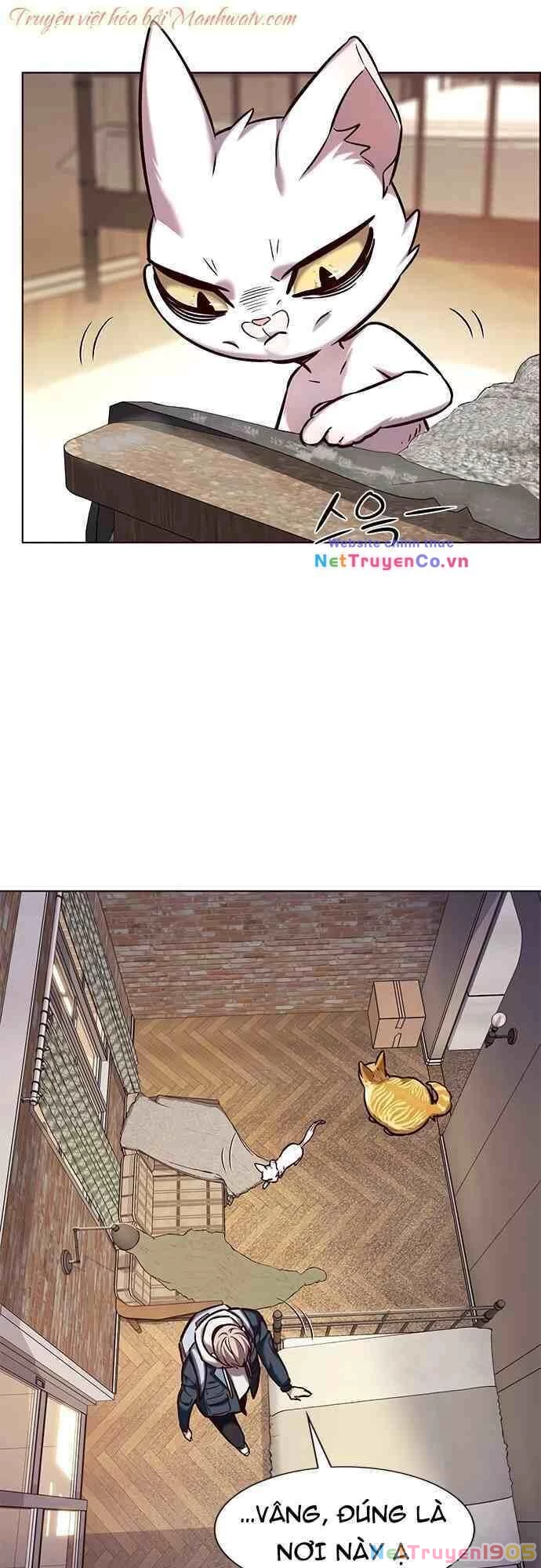 Cô Dâu Của Sói Trắng Chapter 231 - 36