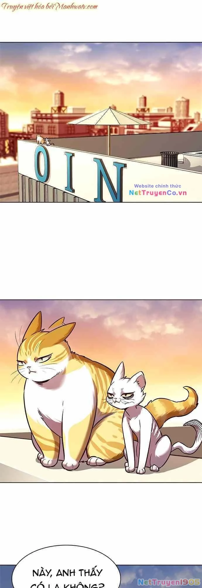 Cô Dâu Của Sói Trắng Chapter 232 - 35