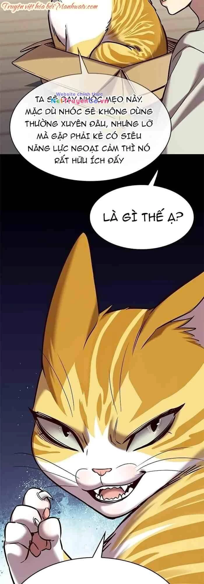 Cô Dâu Của Sói Trắng Chapter 236 - 47