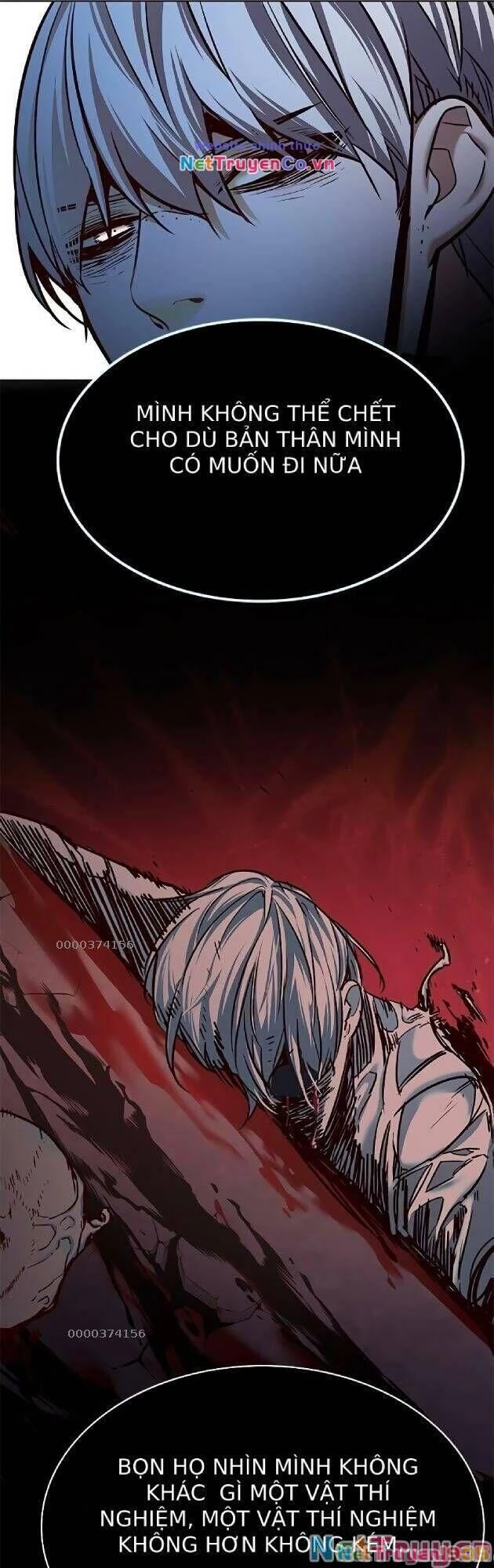 Cô Dâu Của Sói Trắng Chapter 238 - 41