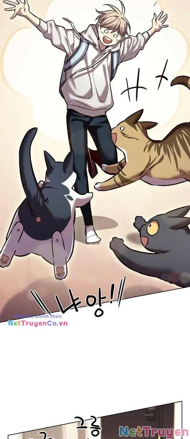 Cô Dâu Của Sói Trắng Chapter 239 - 2