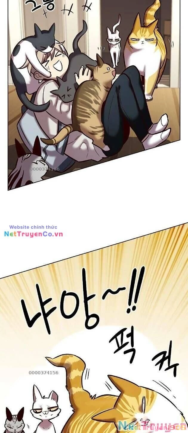 Cô Dâu Của Sói Trắng Chapter 239 - 3