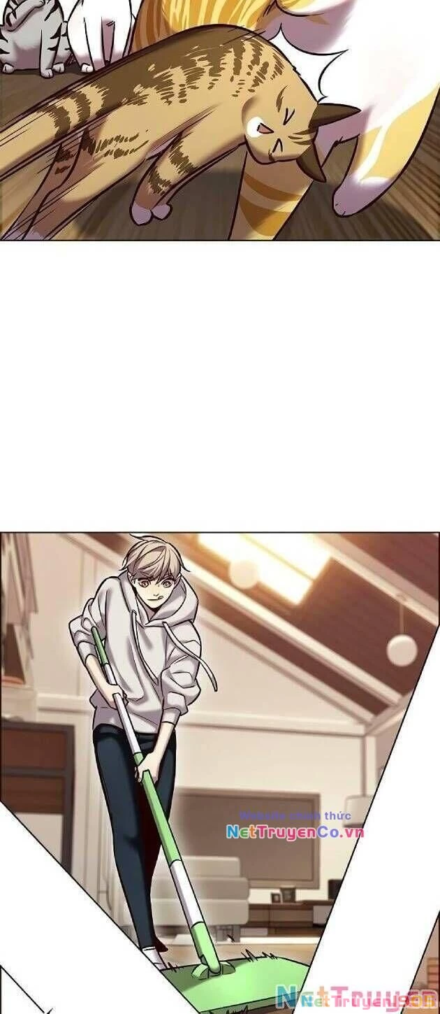 Cô Dâu Của Sói Trắng Chapter 239 - 4