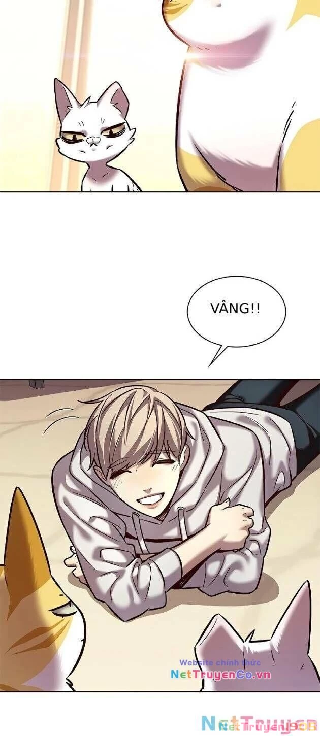 Cô Dâu Của Sói Trắng Chapter 239 - 7