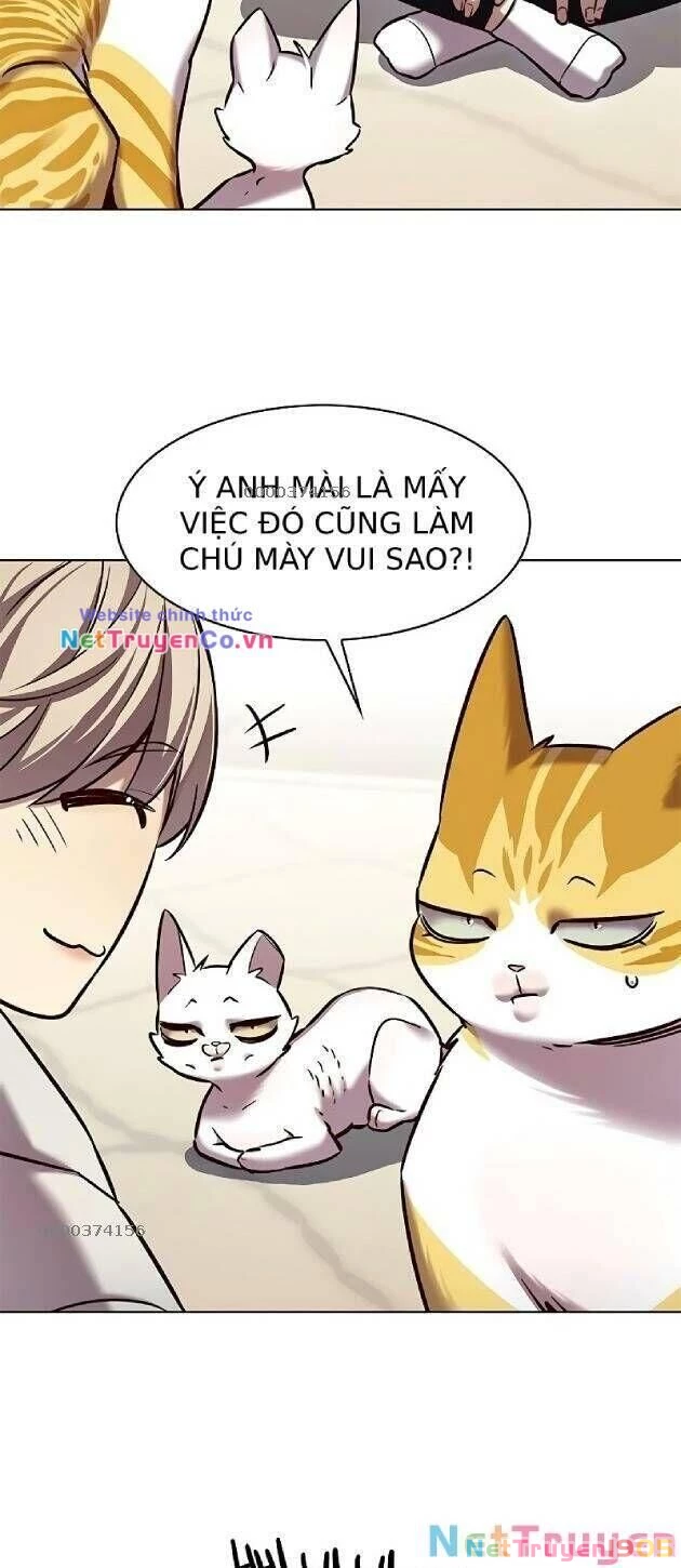 Cô Dâu Của Sói Trắng Chapter 239 - 15