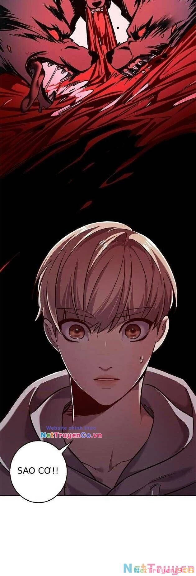 Cô Dâu Của Sói Trắng Chapter 239 - 38