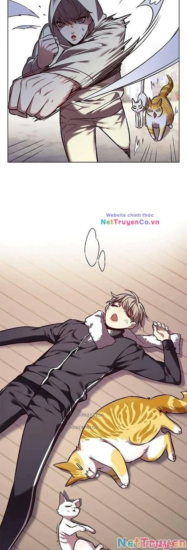 Cô Dâu Của Sói Trắng Chapter 239 - 49