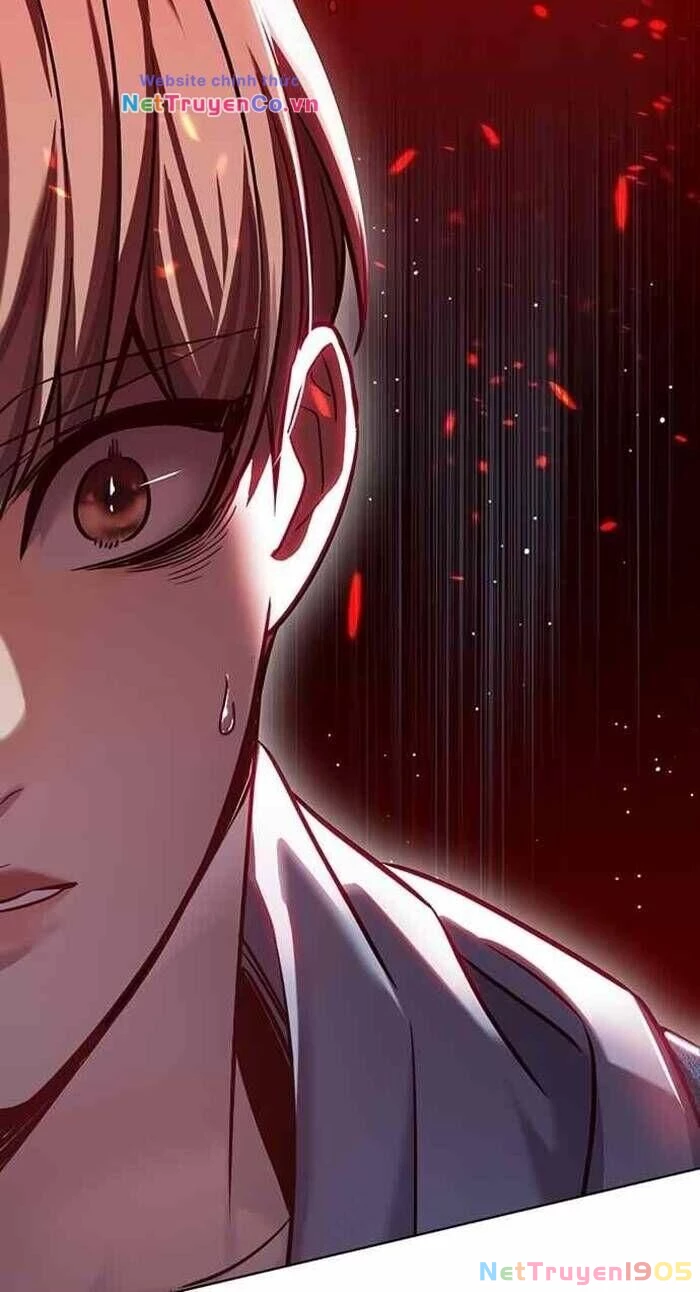 Cô Dâu Của Sói Trắng Chapter 240 - 16