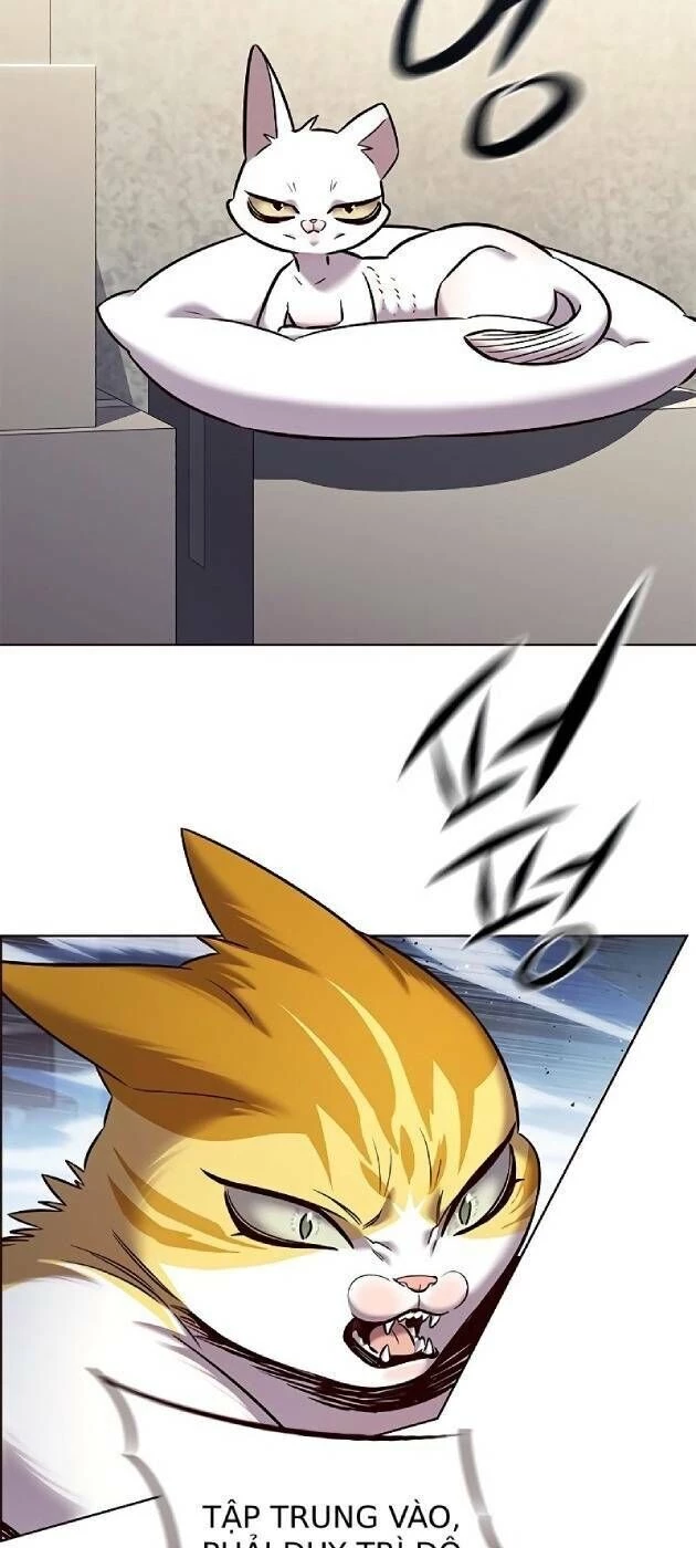 Cô Dâu Của Sói Trắng Chapter 241 - 9