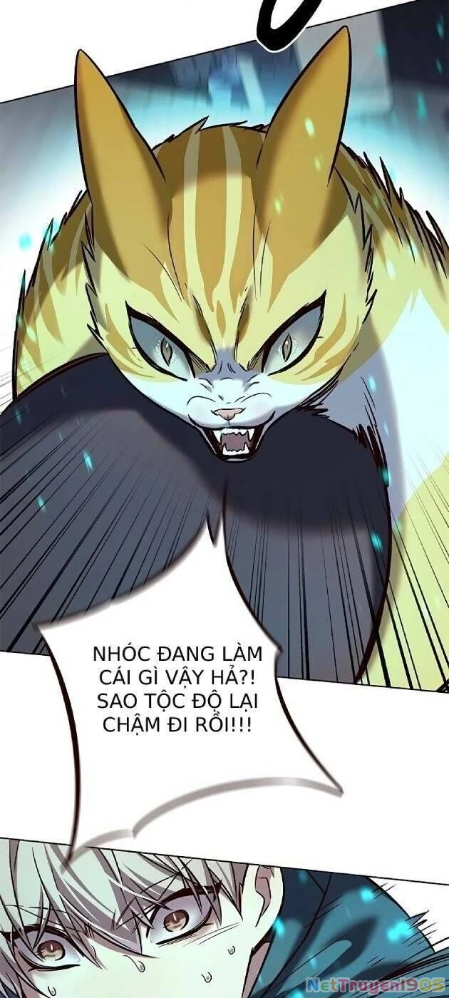 Cô Dâu Của Sói Trắng Chapter 241 - 12