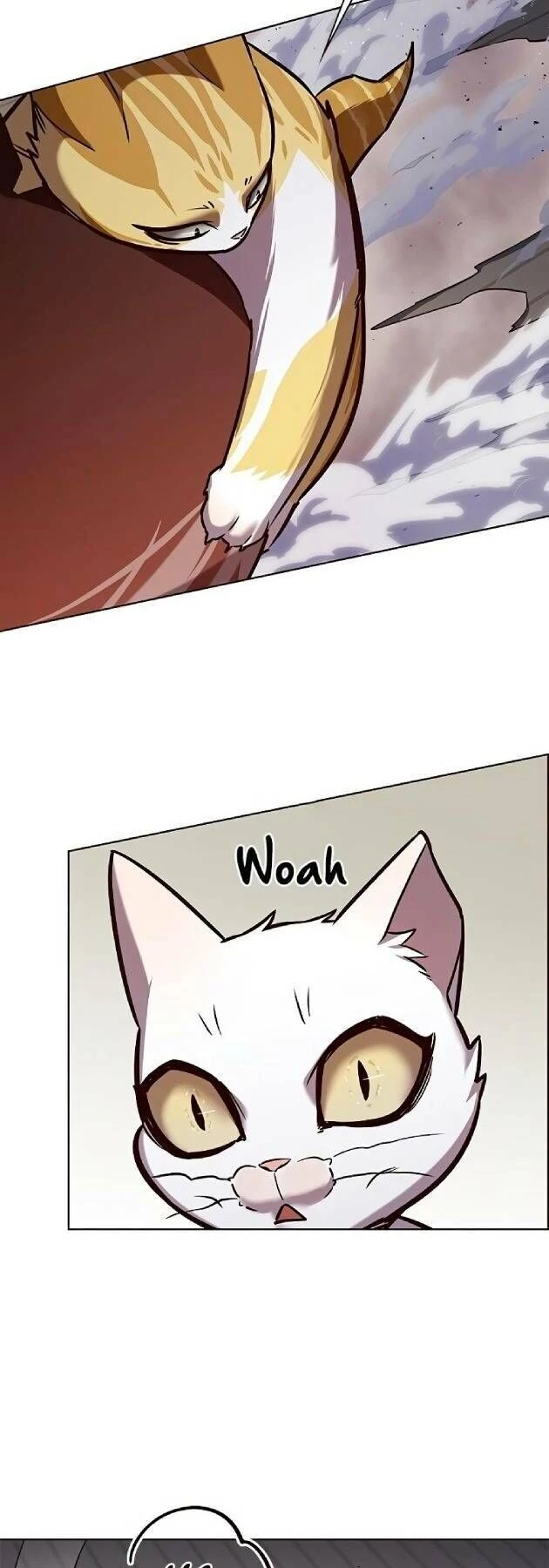 Cô Dâu Của Sói Trắng Chapter 241 - 24