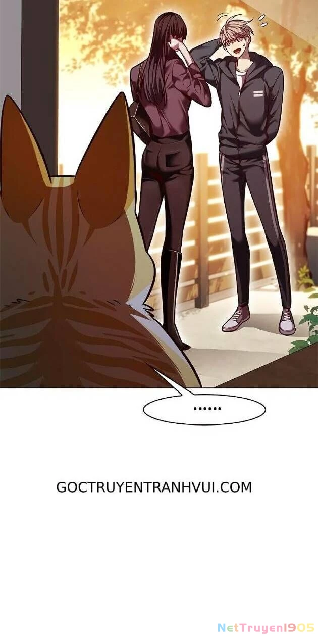 Cô Dâu Của Sói Trắng Chapter 241 - 56