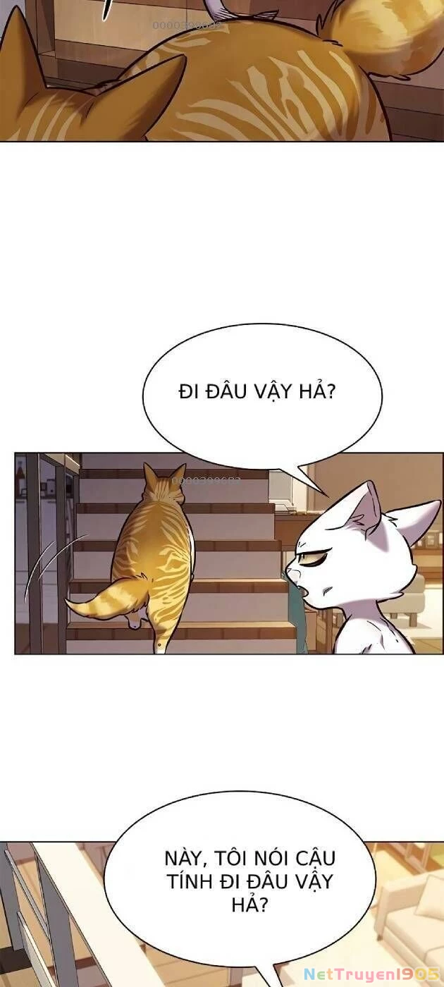 Cô Dâu Của Sói Trắng Chapter 241 - 59