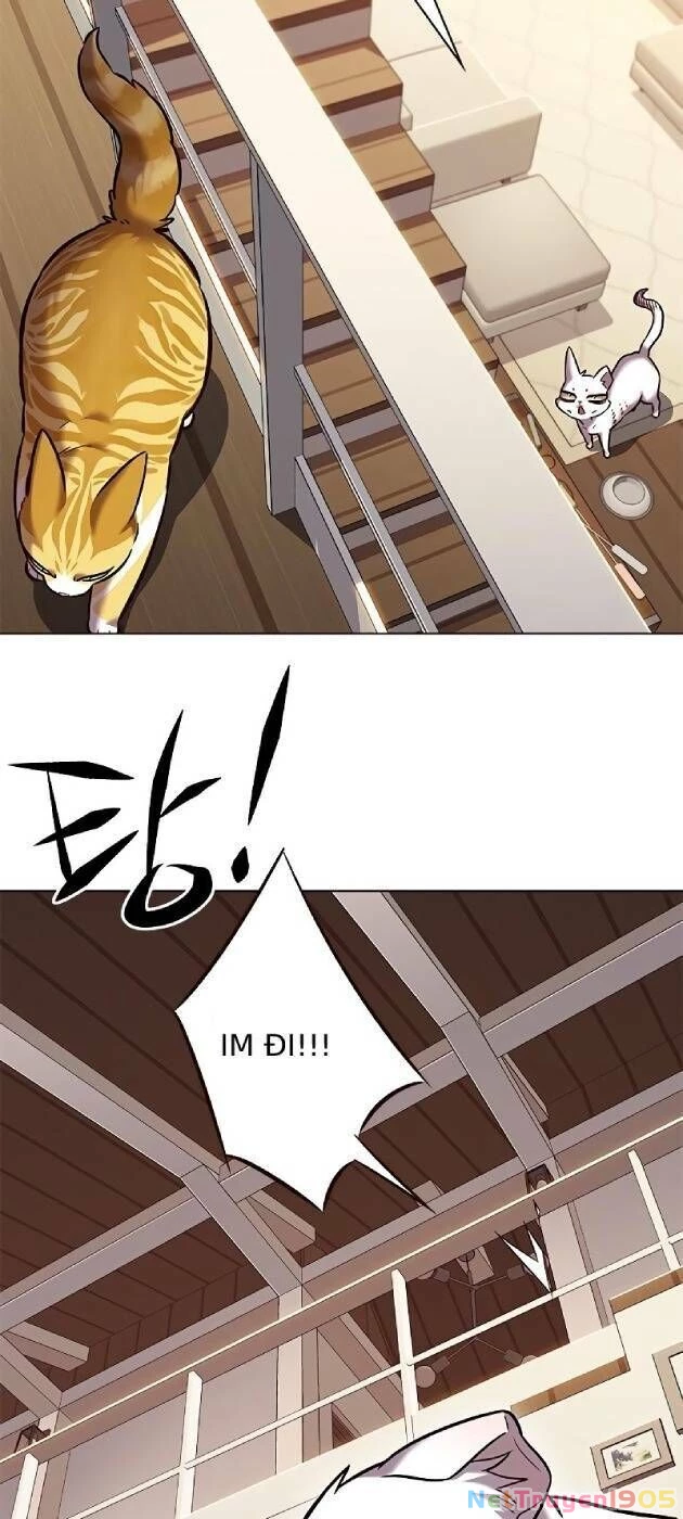 Cô Dâu Của Sói Trắng Chapter 241 - 60