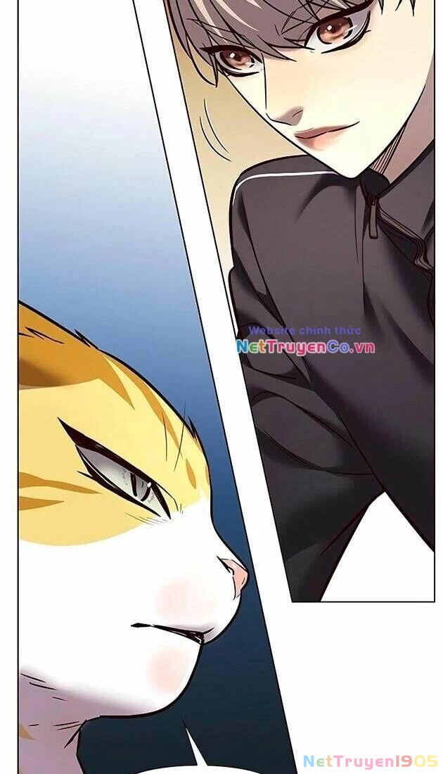 Cô Dâu Của Sói Trắng Chapter 242 - 46