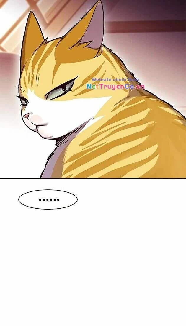 Cô Dâu Của Sói Trắng Chapter 242 - 49