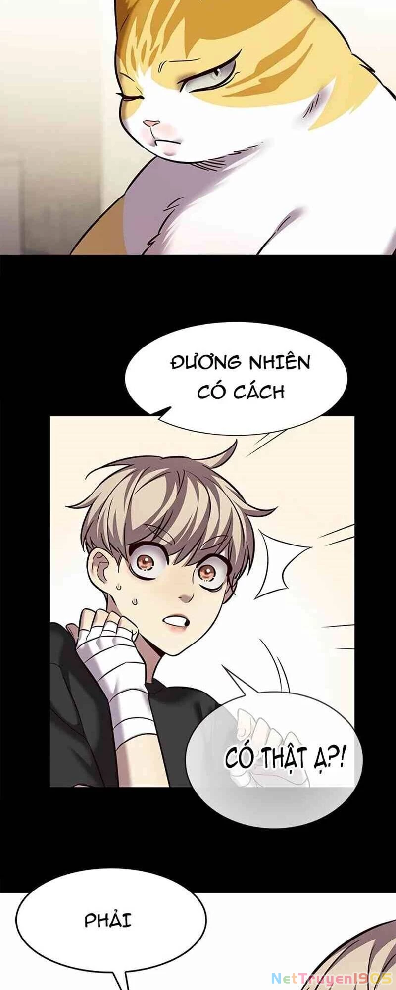 Cô Dâu Của Sói Trắng Chapter 244 - 17