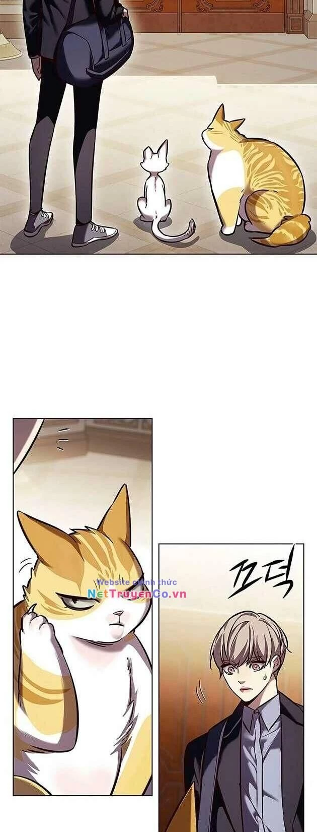Cô Dâu Của Sói Trắng Chapter 245 - 31