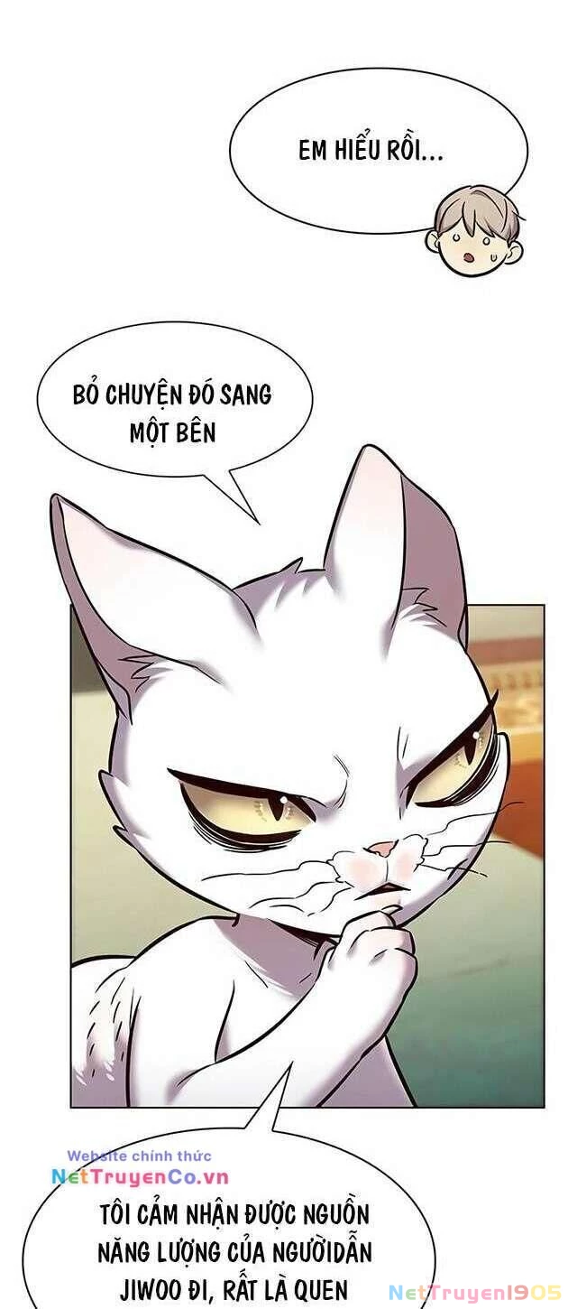 Cô Dâu Của Sói Trắng Chapter 245 - 45