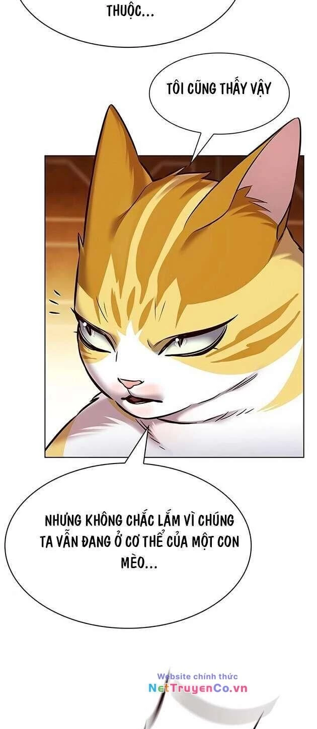 Cô Dâu Của Sói Trắng Chapter 245 - 46