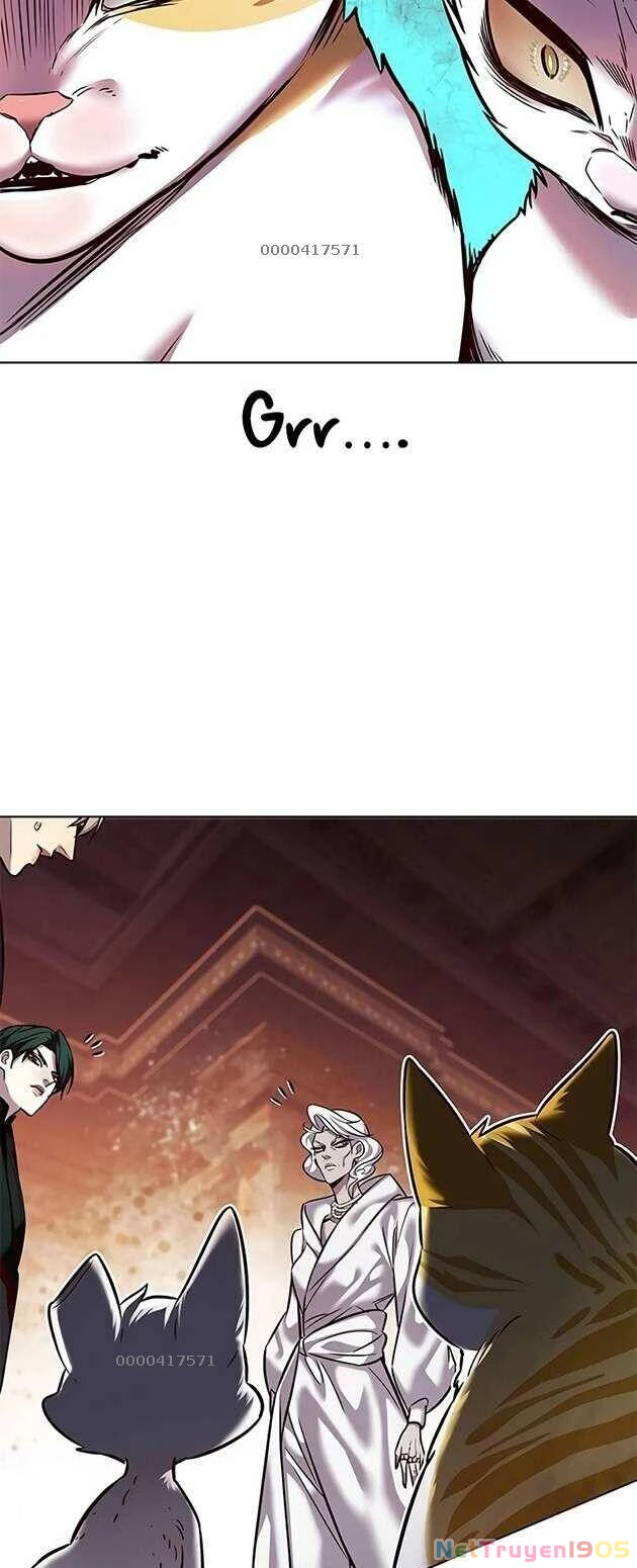 Cô Dâu Của Sói Trắng Chapter 246 - 17