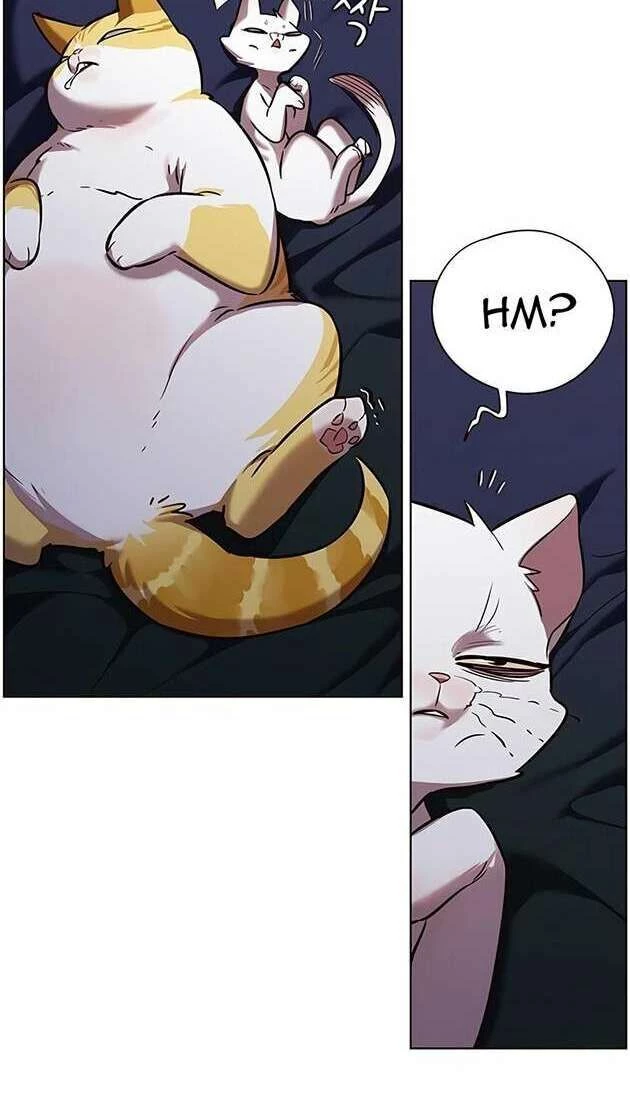 Cô Dâu Của Sói Trắng Chapter 246 - 59