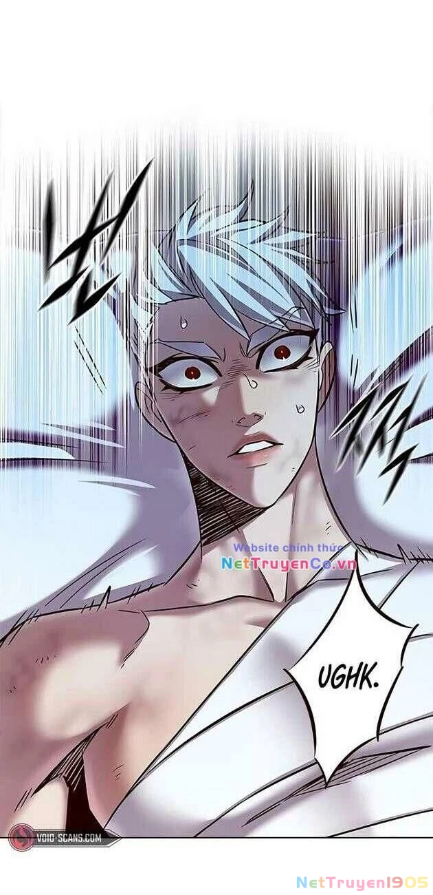 Cô Dâu Của Sói Trắng Chapter 254 - 5