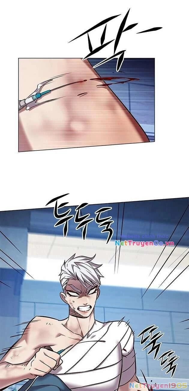 Cô Dâu Của Sói Trắng Chapter 254 - 6