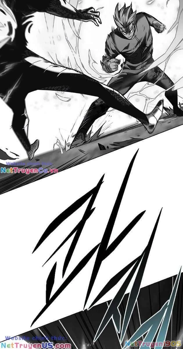 Cô Dâu Của Sói Trắng Chapter 261 - 2