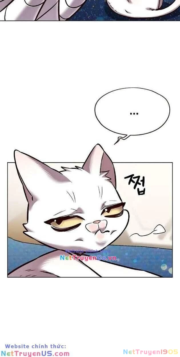 Cô Dâu Của Sói Trắng Chapter 263 - 6