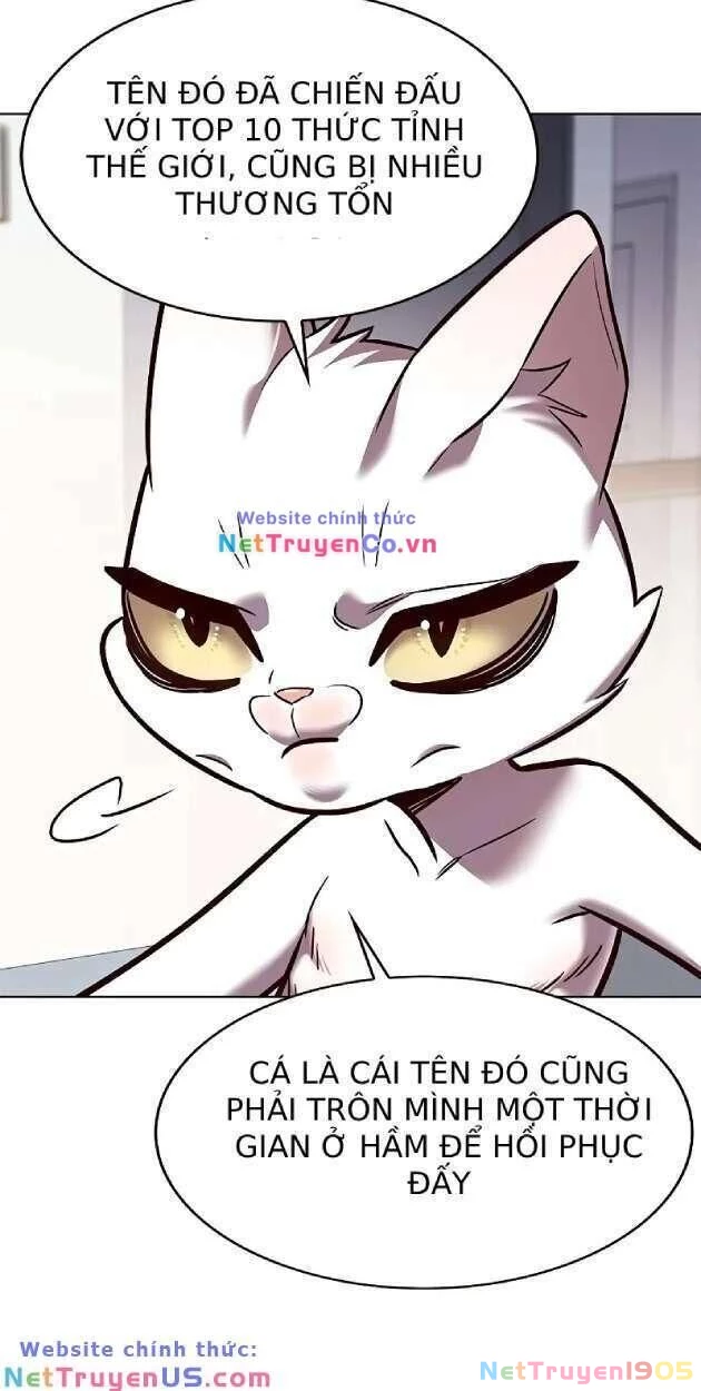 Cô Dâu Của Sói Trắng Chapter 263 - 9