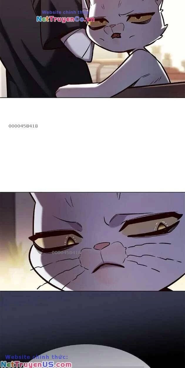 Cô Dâu Của Sói Trắng Chapter 263 - 15
