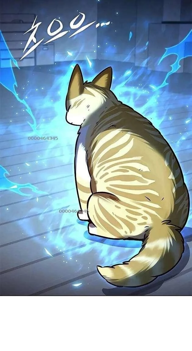 Cô Dâu Của Sói Trắng Chapter 267 - 3