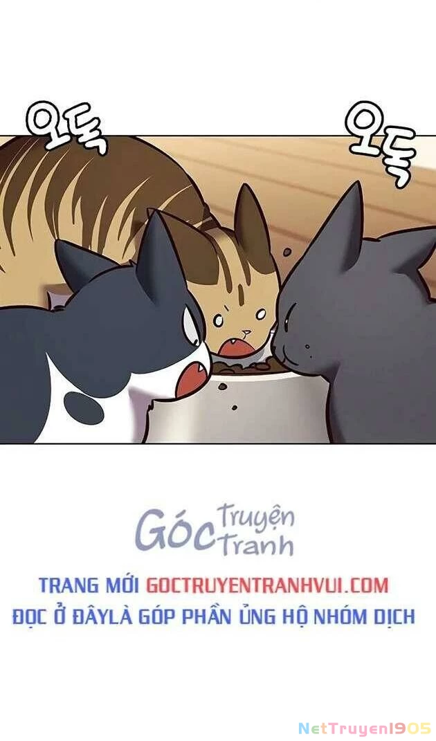 Cô Dâu Của Sói Trắng Chapter 269 - 41