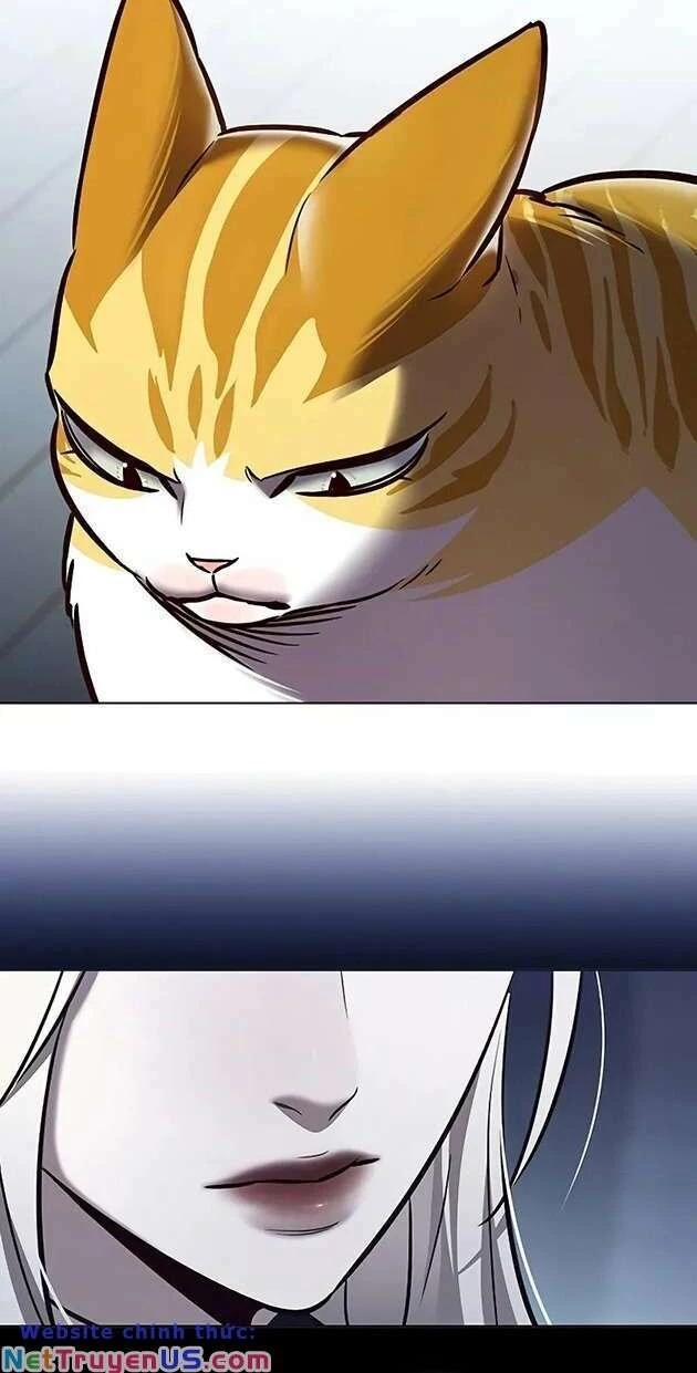 Cô Dâu Của Sói Trắng Chapter 270 - 20