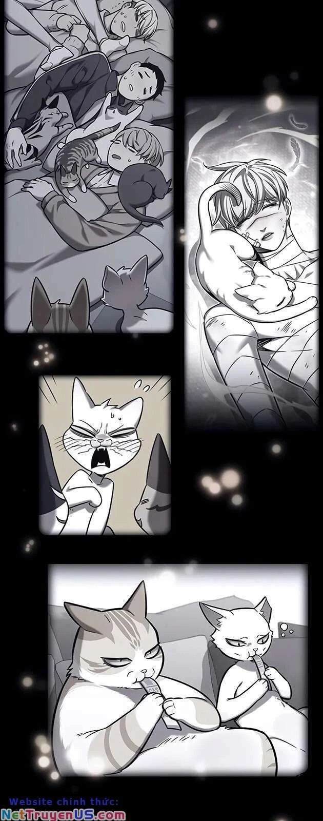 Cô Dâu Của Sói Trắng Chapter 270 - 66