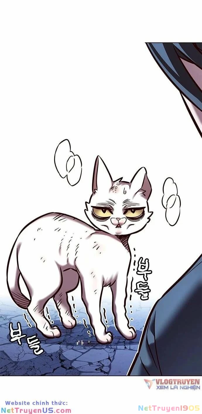 Cô Dâu Của Sói Trắng Chapter 275 - 22