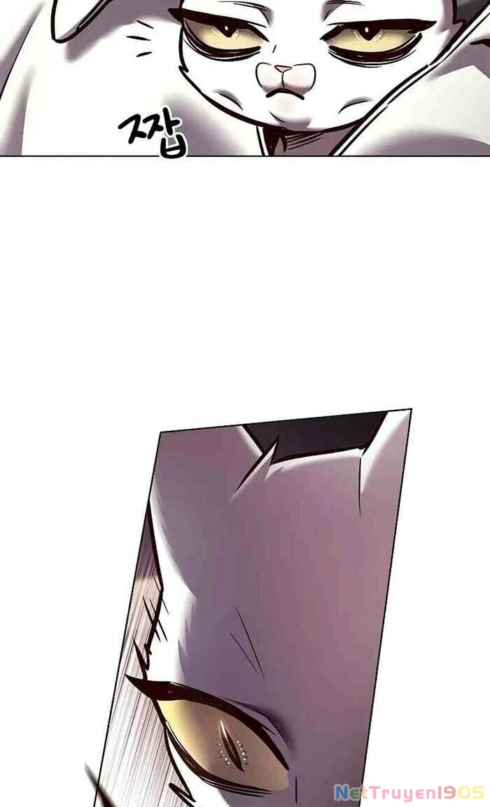 Cô Dâu Của Sói Trắng Chapter 277 - 12