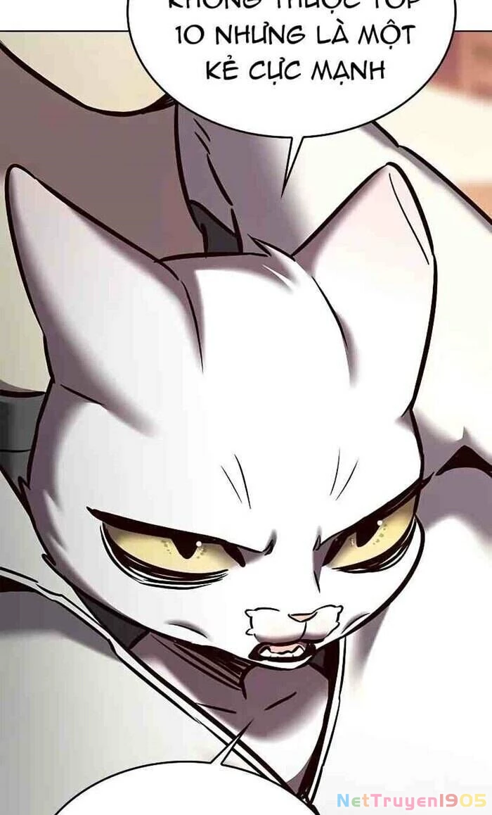 Cô Dâu Của Sói Trắng Chapter 277 - 19