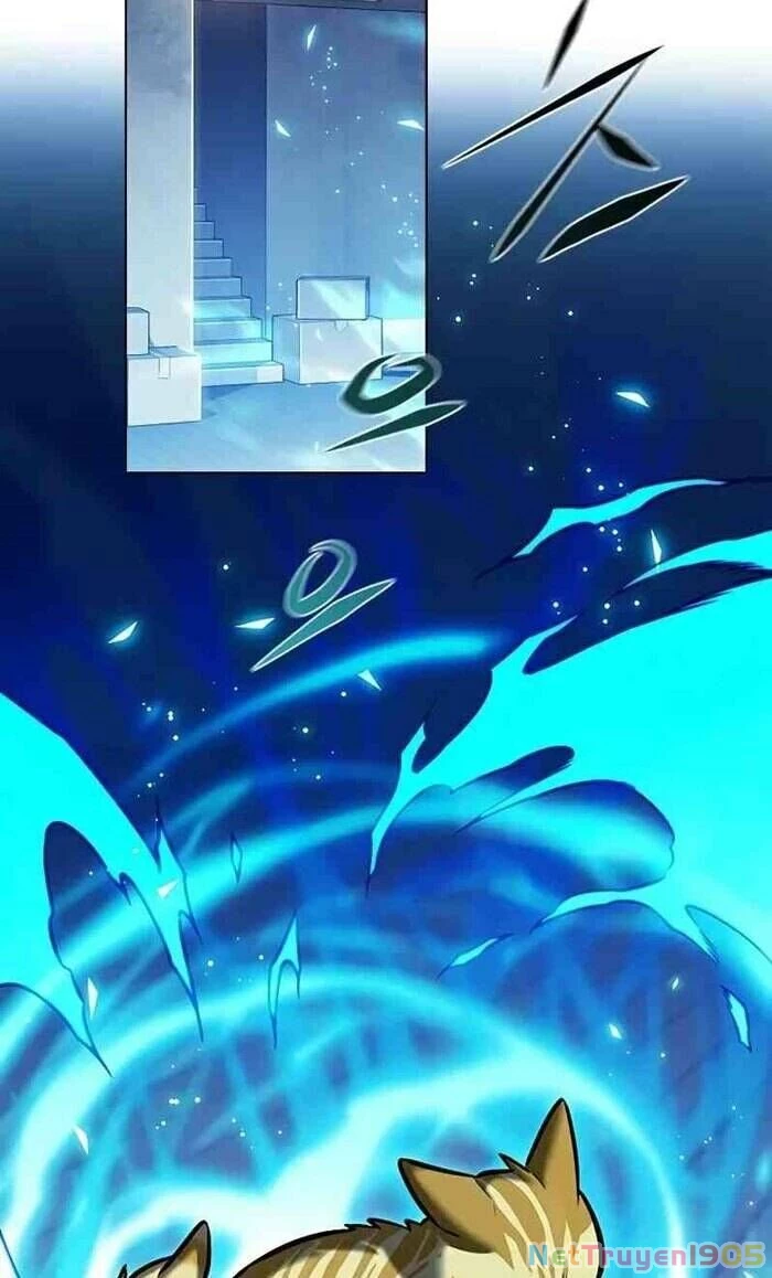 Cô Dâu Của Sói Trắng Chapter 277 - 59