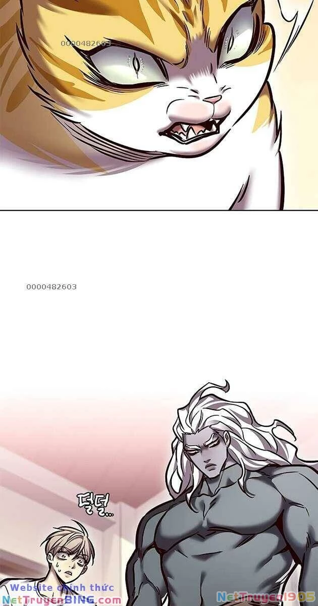 Cô Dâu Của Sói Trắng Chapter 278 - 3