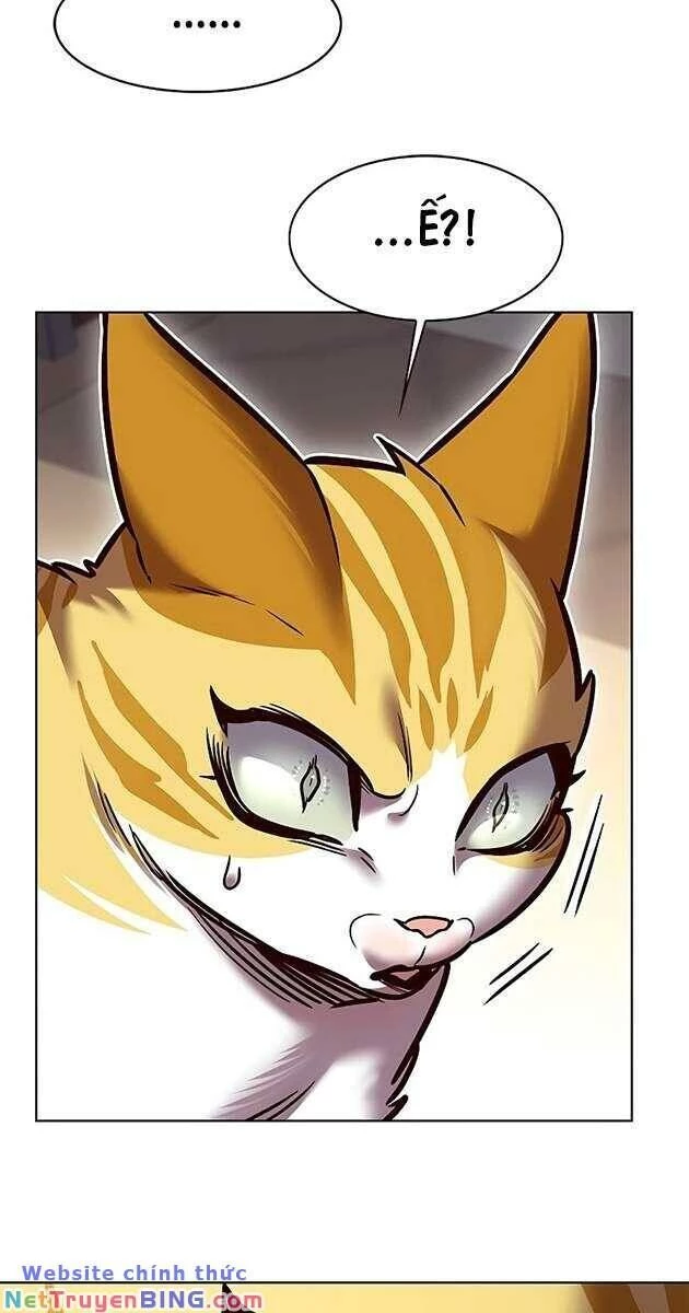 Cô Dâu Của Sói Trắng Chapter 278 - 6