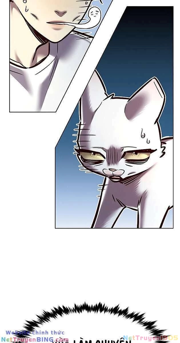 Cô Dâu Của Sói Trắng Chapter 278 - 8